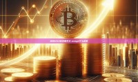 探索USA的多重含义-usage什么意思
