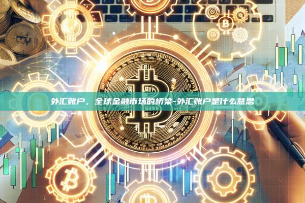 外汇账户，全球金融市场的桥梁-外汇账户是什么意思