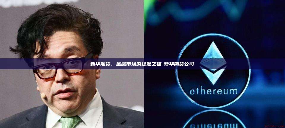 新华期货,金融市场的稳健之锚-新华期货公司