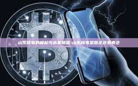 山东核电的崛起与未来展望-山东核电是国企还是央企