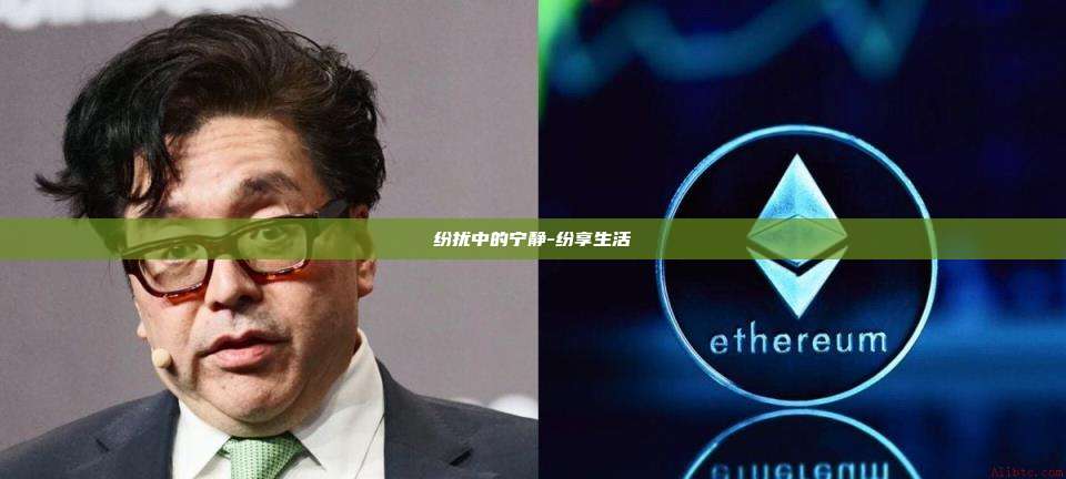纷扰中的宁静-纷享生活
